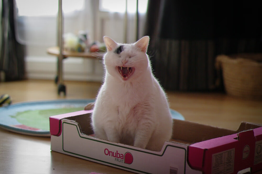 kaiyun网站-德甲比赛节奏加快，精彩反击体现战术多样，德甲打法特点