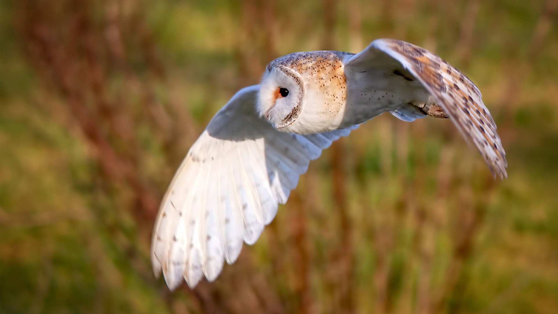 kaiyun登录入口-热火防守如铁，限制对手得分出奇制胜，热火队防守