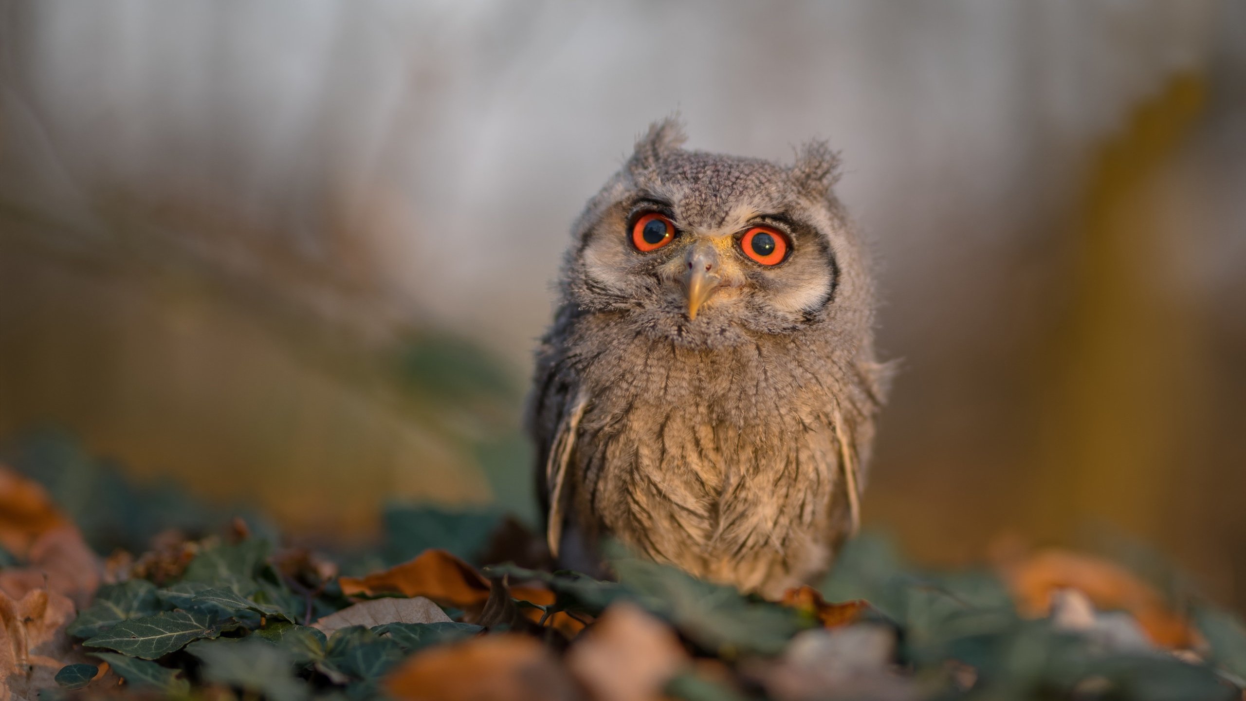 kaiyun开云·官方网站-赛场风云：独家报道关键比赛中的精彩瞬间，赛场风云变幻