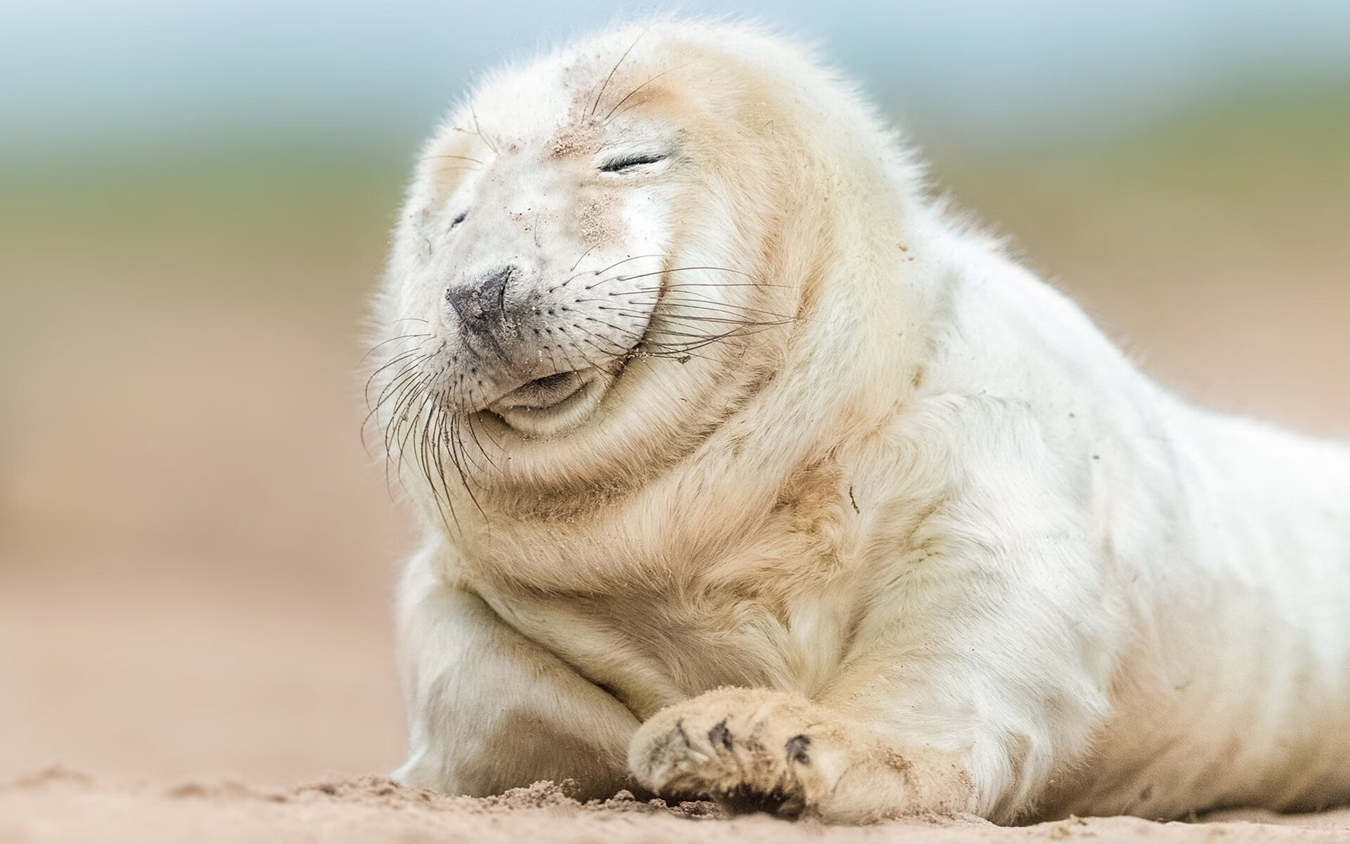 Kaiyun APP-俄罗斯球员被选为年度MVP，荣誉无人能及，俄罗斯精选球员