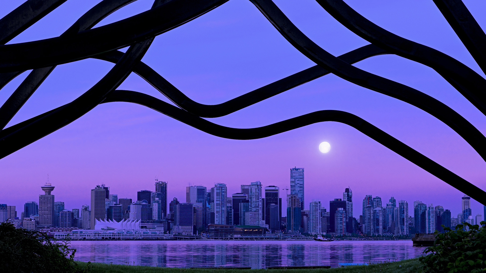 开云·体育官网-雄鹿队主力球员因伤缺席比赛，团队战术将面临挑战，雄鹿队缺什么位置球员