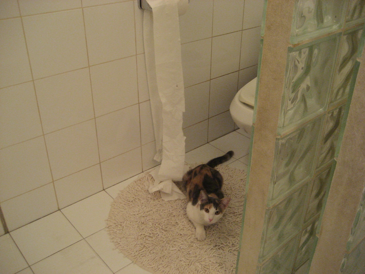 中国青少年篮球推广模式创新，中国青少年篮球推广模式创新案例