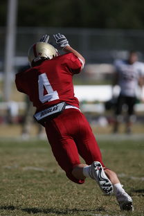 Kaiyun(中国)开云-五大联赛争四阶段关键球员贡献值差异对比，五大联赛引援