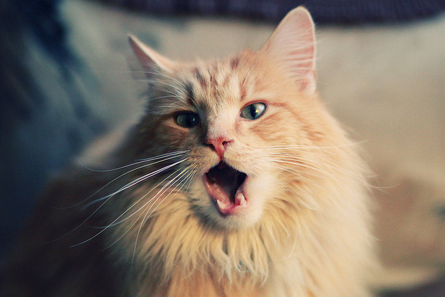 开云体育APP下载-巴萨短传渗透展现绝对控球优势，巴萨经典传控进球