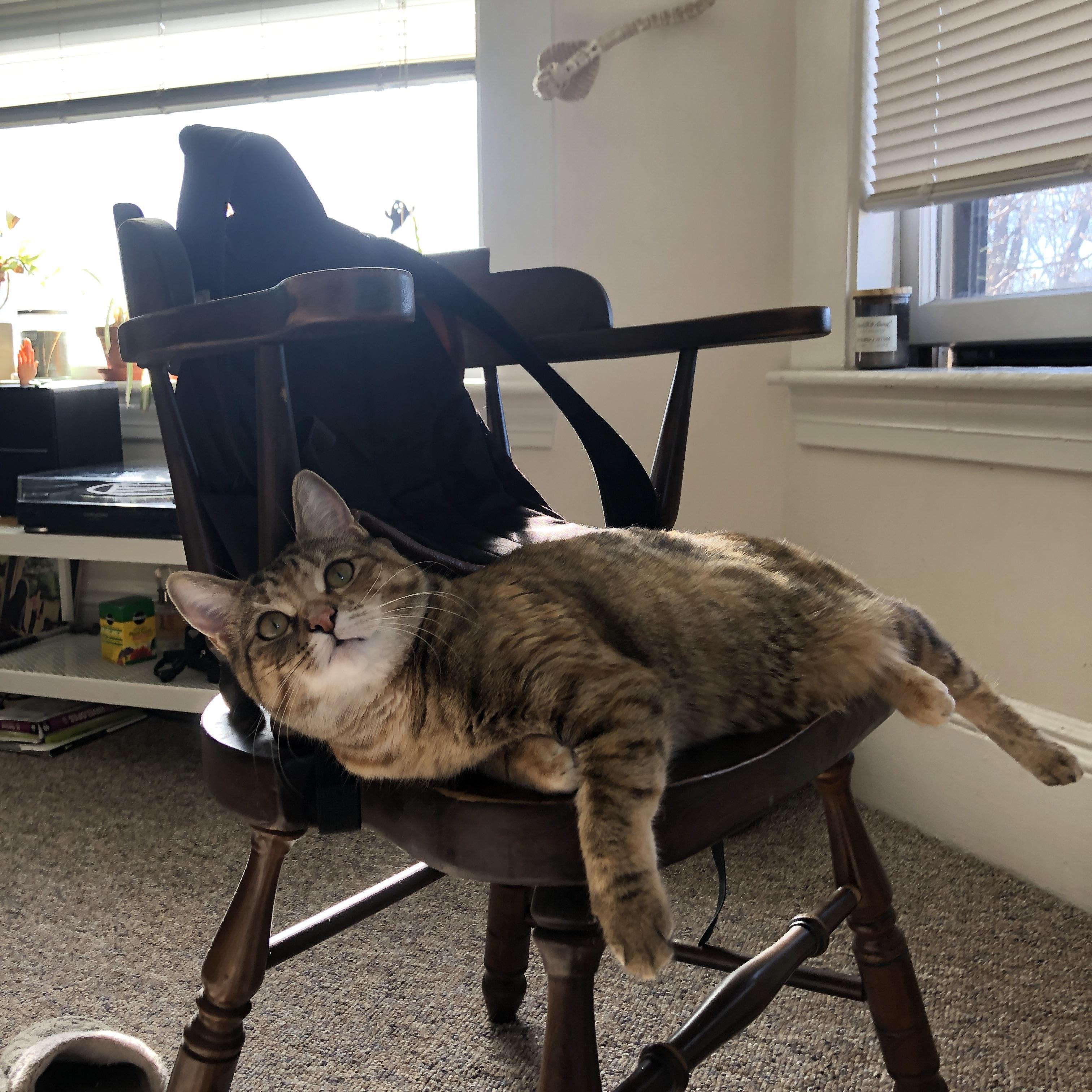 开云中国-自由搏击实战训练方式持续优化，自由搏击训练动作