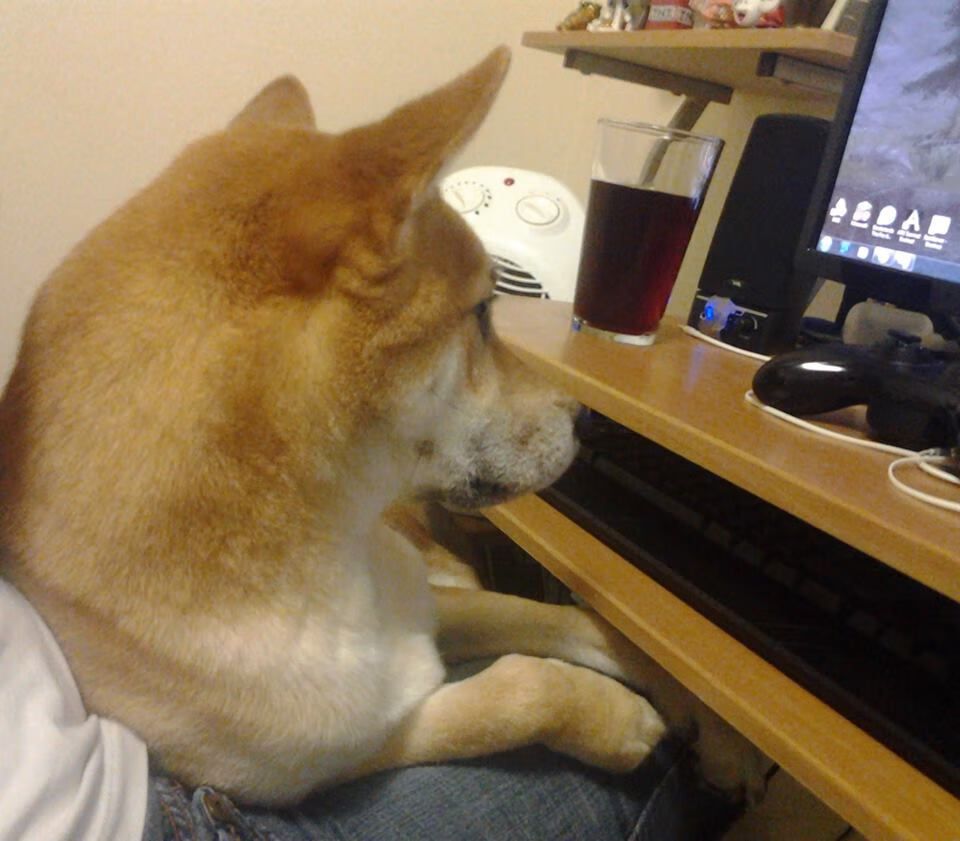 突发情况中展示大将风范,大会突发状况考虑