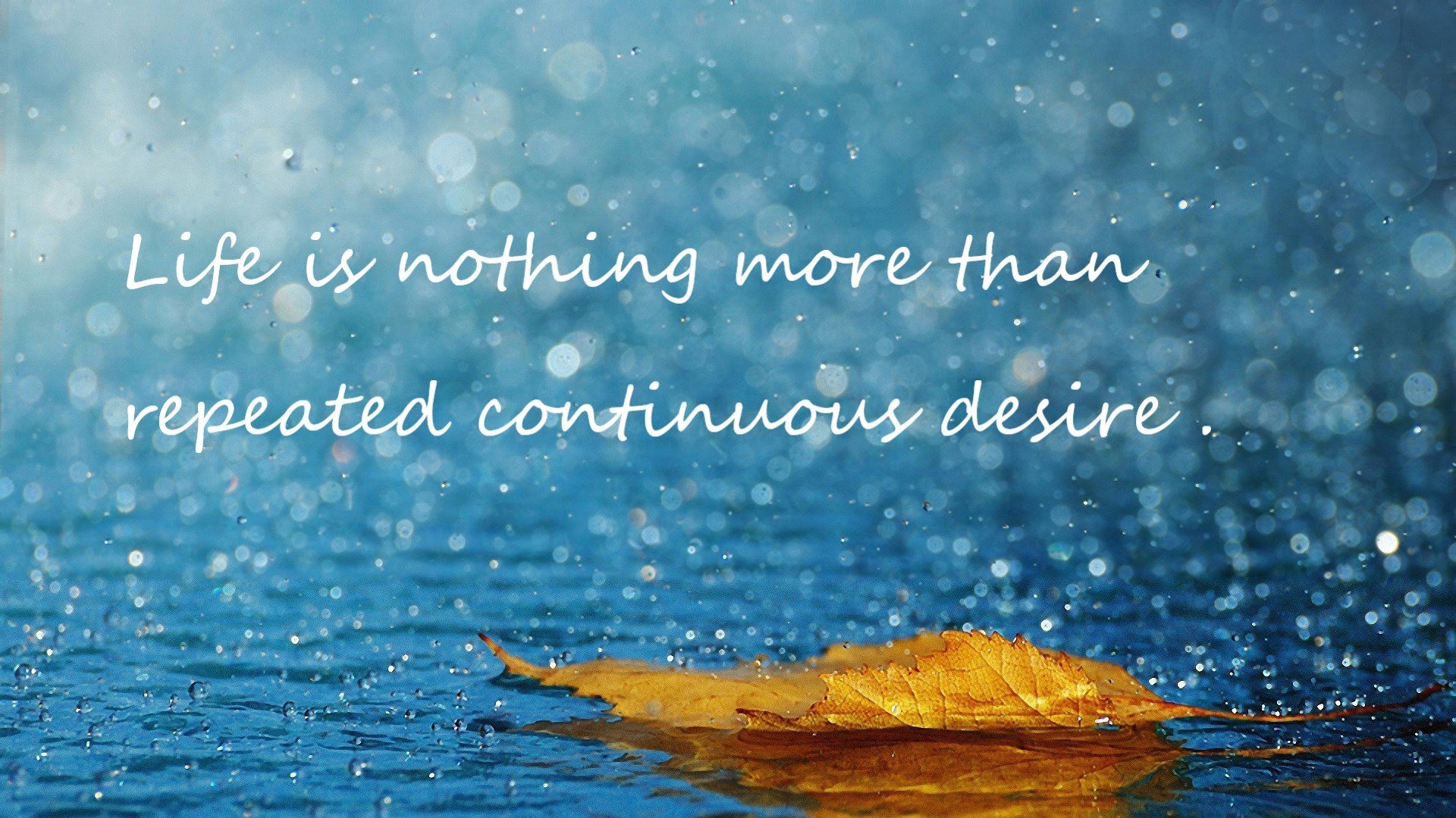 跳水动作难度升级南非队再创新高，fina跳水系列赛赛程